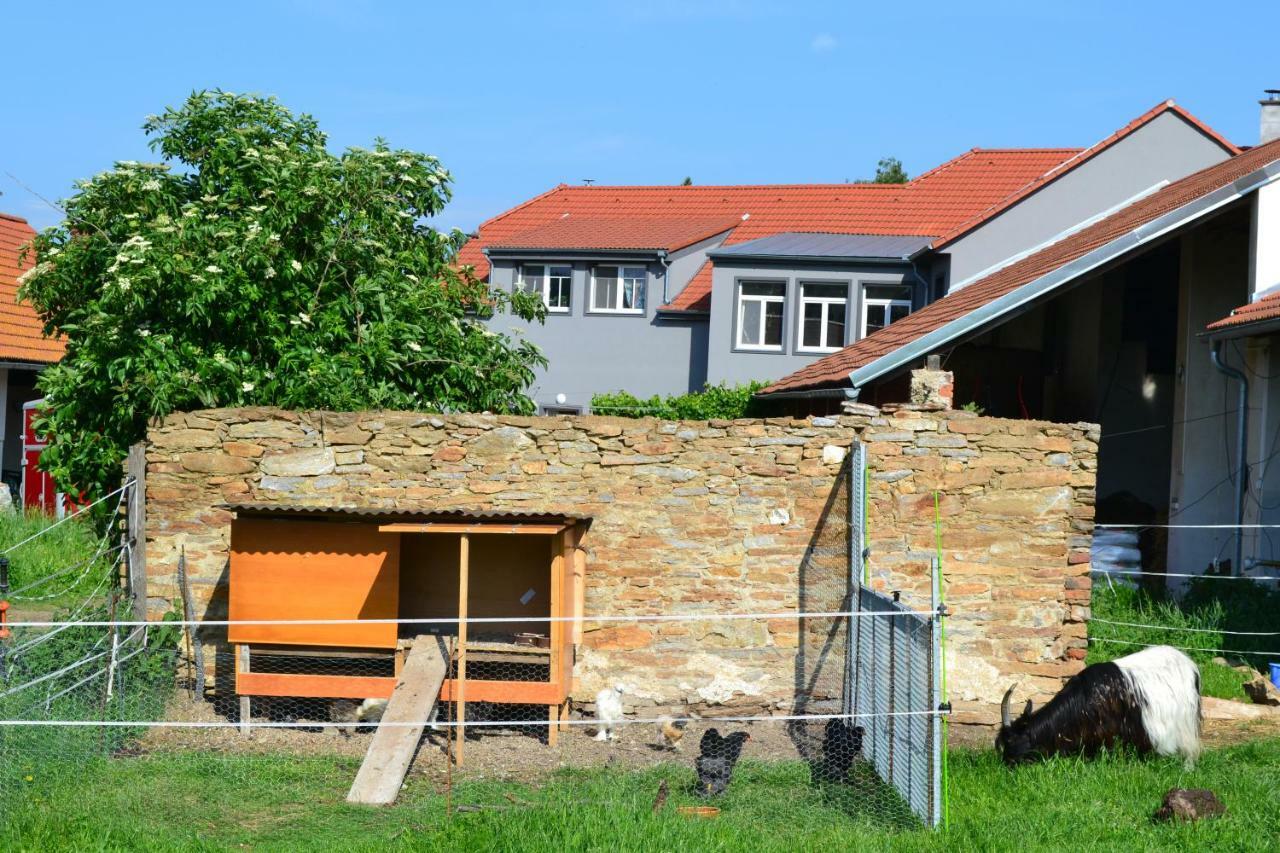 Statek U Koni Nemejice Villa Buitenkant foto